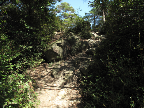 20140922hike (206)